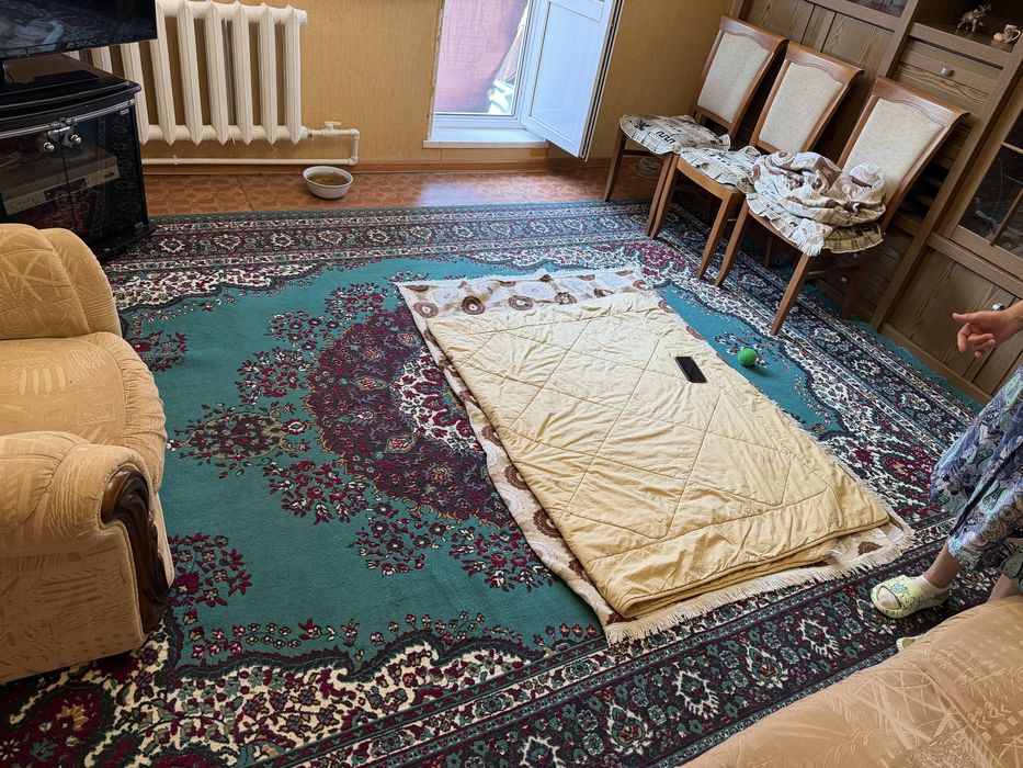 Продам  палас в зал