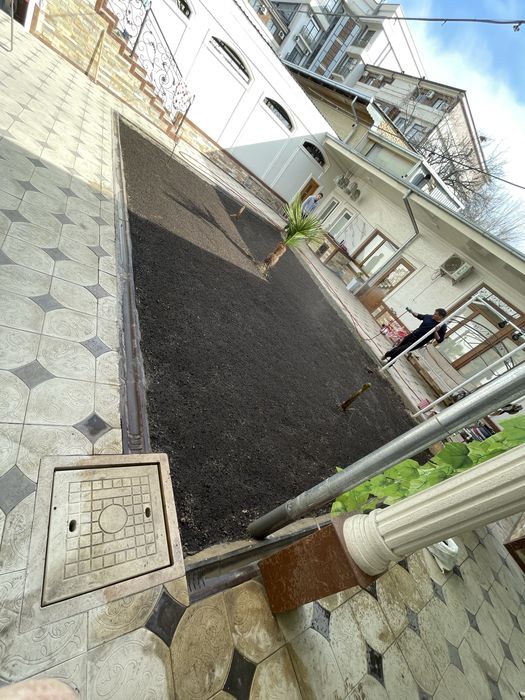 Yevro gazon yashil makon