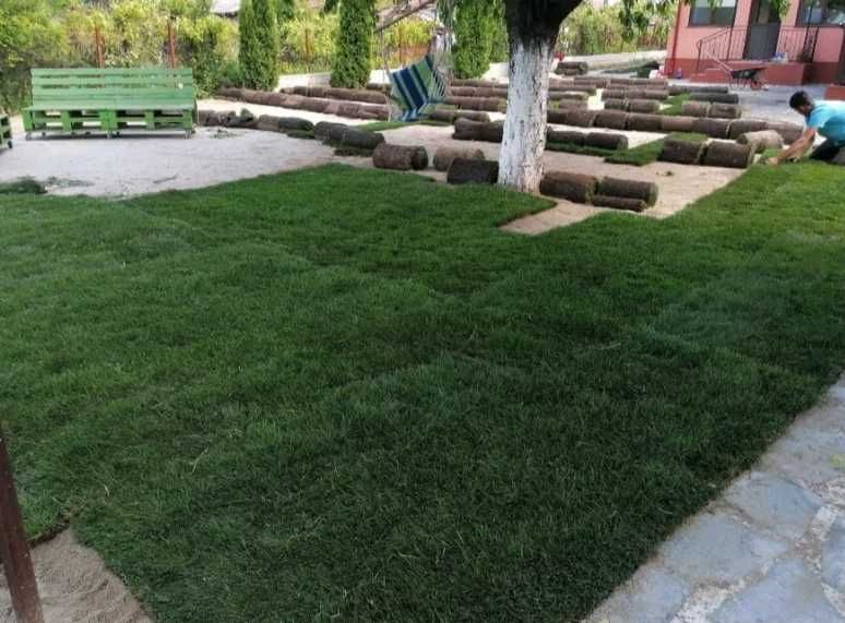 Gazon Natural Aclimatizat – Livrare în Toată Țara și Montaj