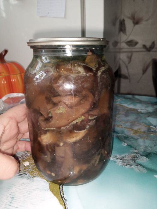 Все домашнего приготовления