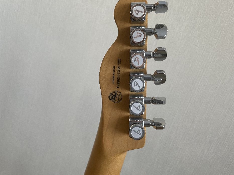 Fender player telecaster plus