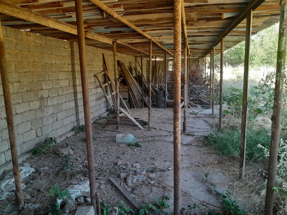 6 сотх дача Паркент