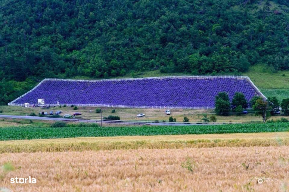 Teren De Vânzare
Dn14a, Târnăveni