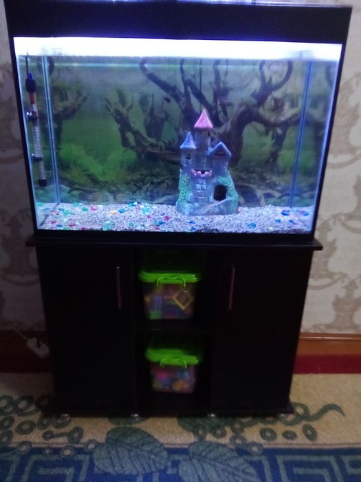 Аквариум с подставкой