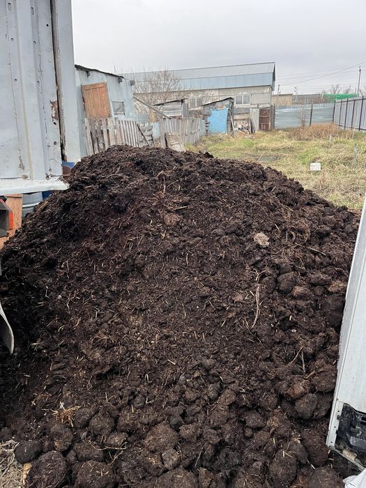 Перегной конский