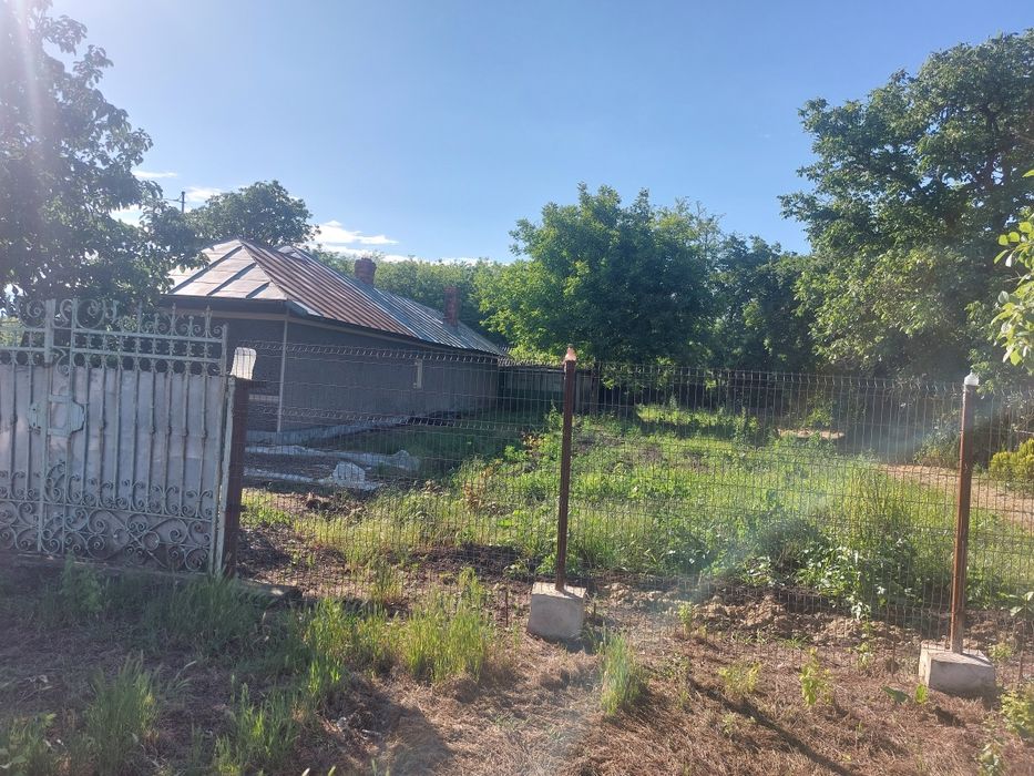 Casa de vânzare cu 2400 mp și pădure de salcâm 3200mp