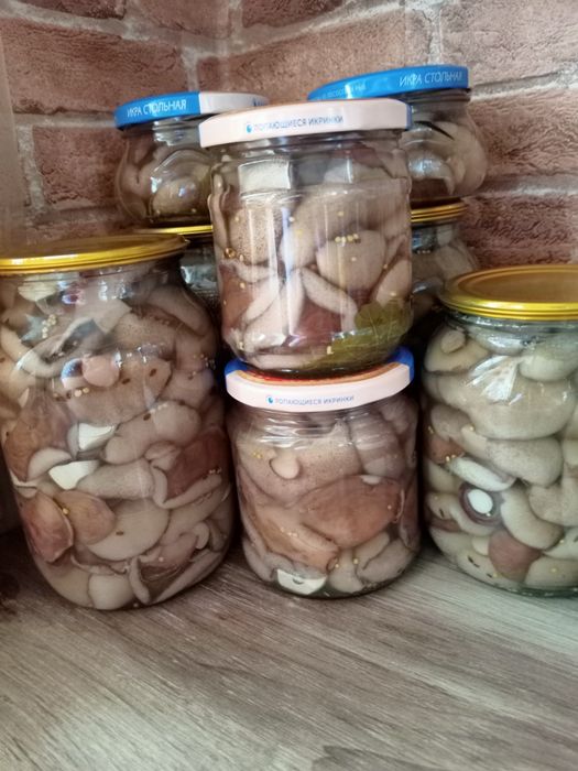 Грибы маринованные сезон 2025