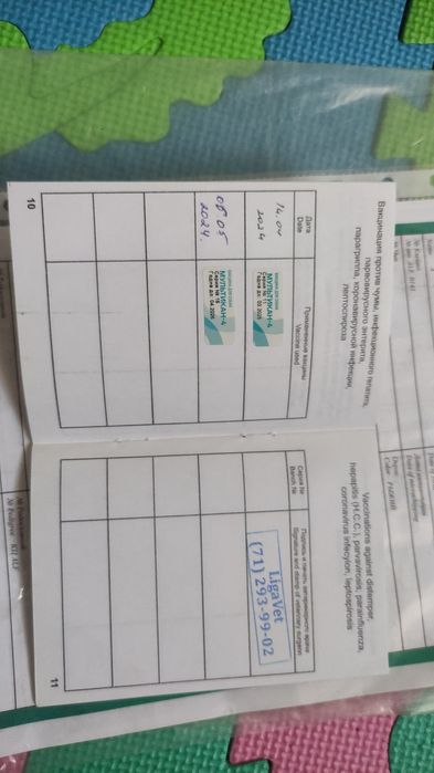 akita inu sotiladi 1yoshdan otgan urgochi toza qon klubdan olingan