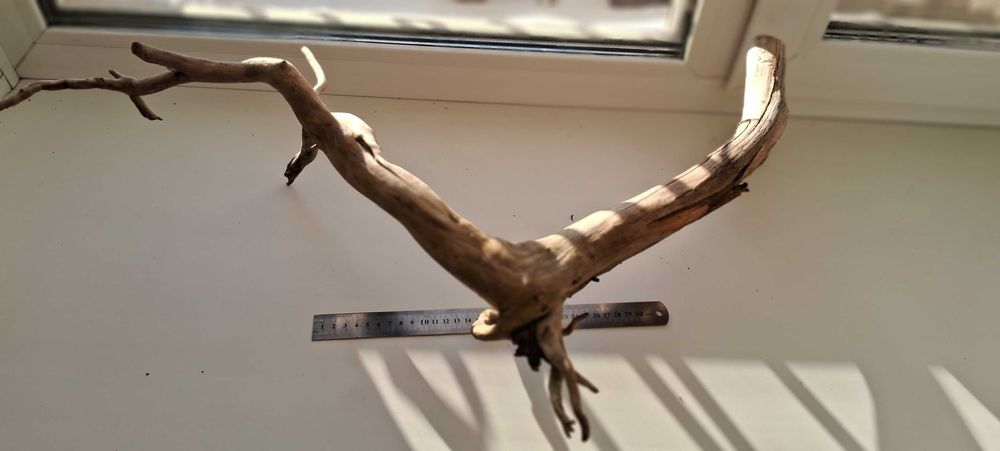 Коряга в аквариум