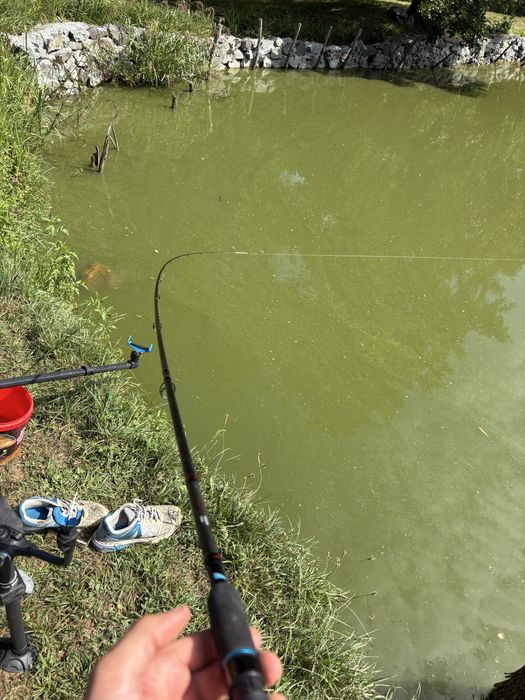 Combo SHAKESPEARE SUPERTEAM SC-3 METHOD FEEDER, 3.30M, 60G, si mulienta okuma 4k