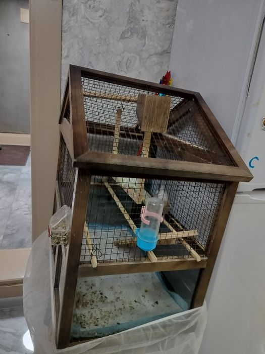 Продам корелл с клеткой