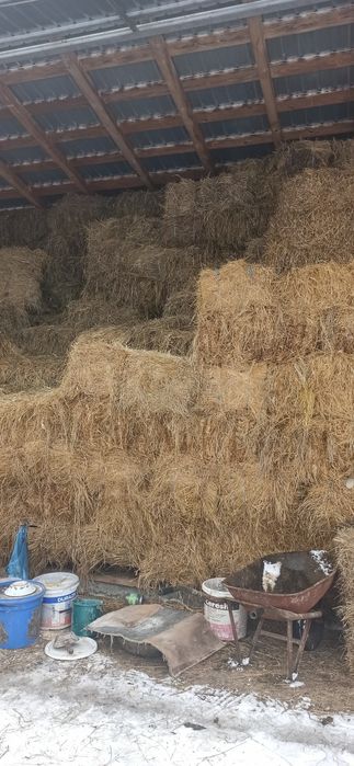 Baloți fân (otavă)