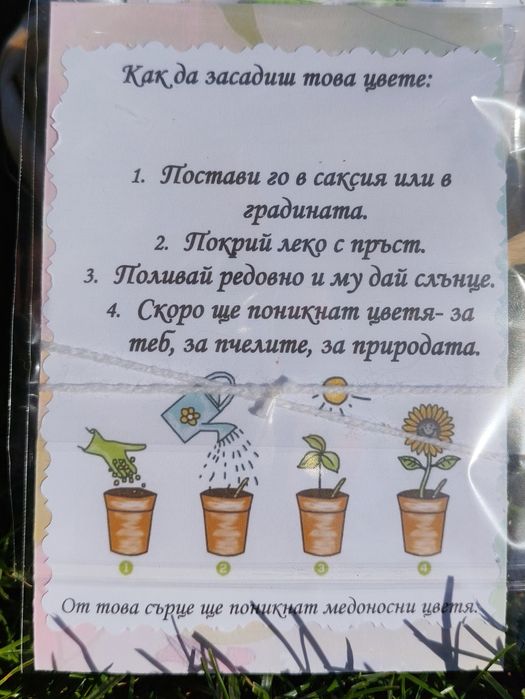 Картичка със семена