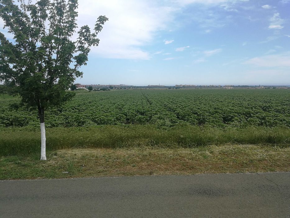 Продава се Парцел в Бургас, Сарафово - 3000 кв.м за 12 €/кв.м - Снимка #1