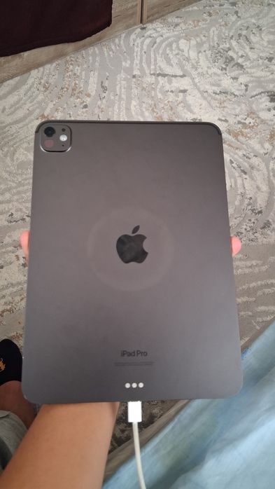 Ipad pro 11 m4 LLA 256 tali