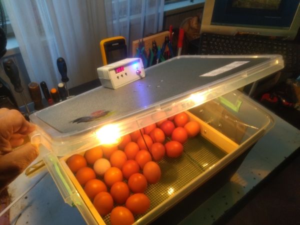 Инкубатори (български)