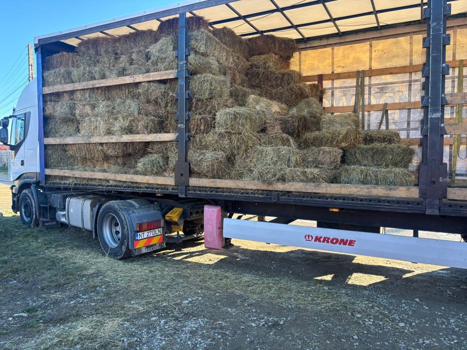 Baloti fan sau lucerna Rotunzi 40.Drept.500;Pomi Aluni Nuc.Castan.Afin