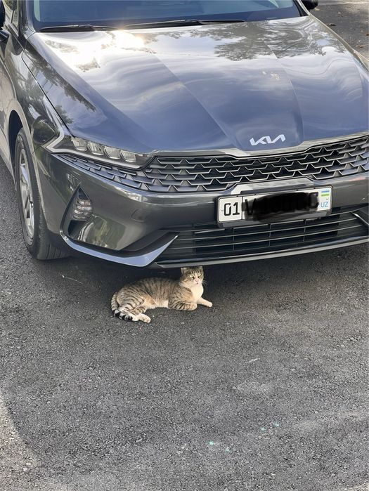 Продаётся Киа К5 комфорт (1-позиция)