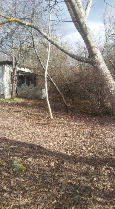 Продава се Парцел в с. Поцърненци, Област Перник - 660 кв.м за 29 €/кв.м - Снимка #7