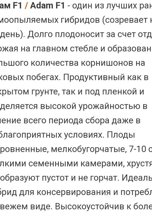 Продам семена огурцов.