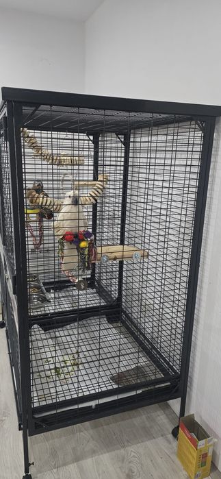 Volieră spațioasă modulară, ideală pentru papagali mari, cu separator