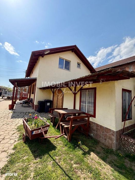 Casa spatioasa, gradina, 4 camere, S+P+M, mobilata si utilata, Vint