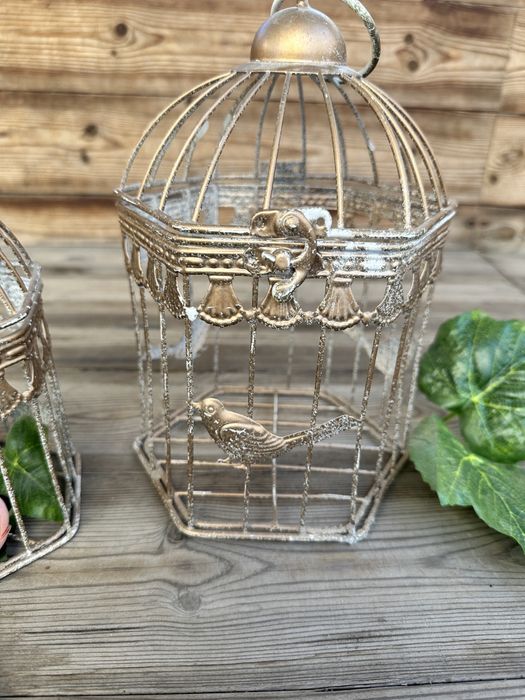 Набор из 2 клеток