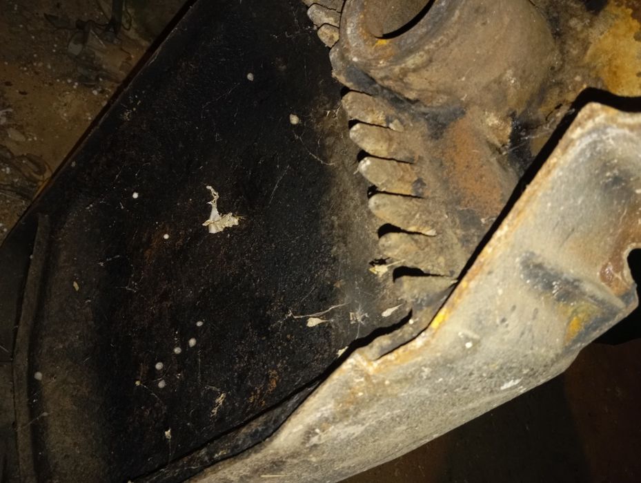 Elemenț  spate  uși   și cos fum viadrus