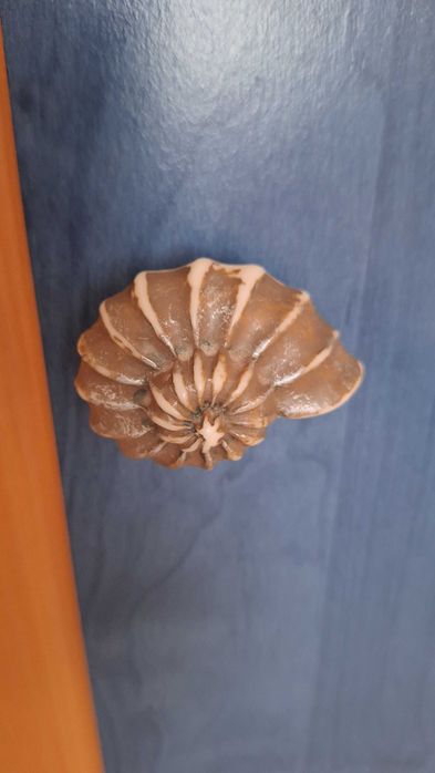 Гардероби двукрилен и еднокрилен