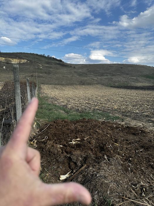 Vand sau schimb Teren extravilan 9000 mp,Corușu, Baciu acces drum apa curgatoare