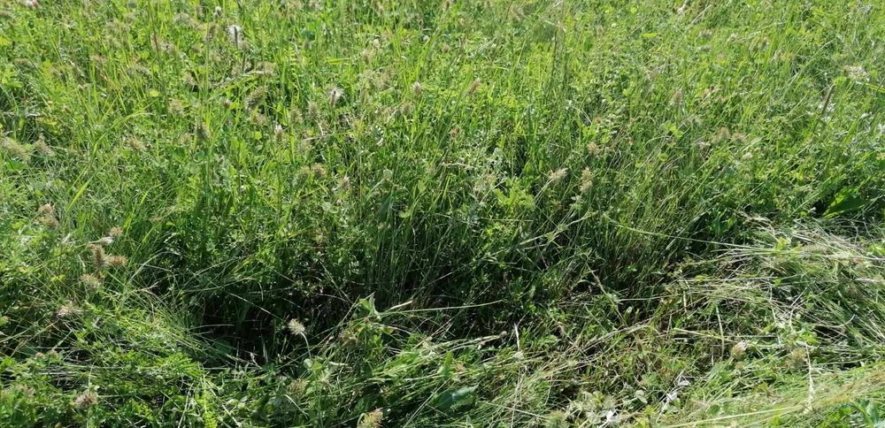 Продавам бали ливадно сено до гр. Габрово