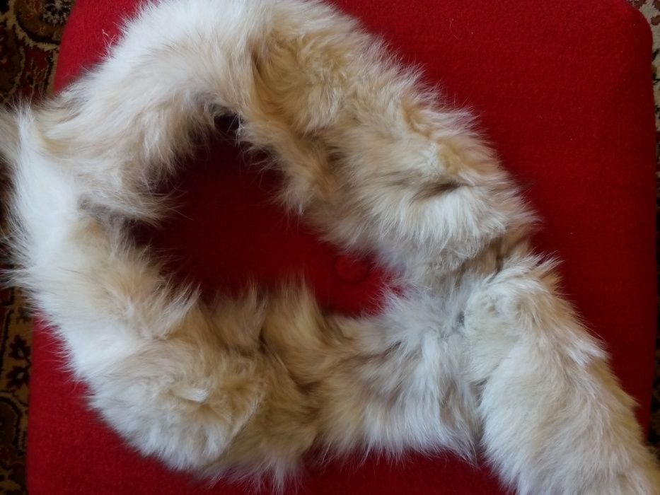 Шапки и кожени яки