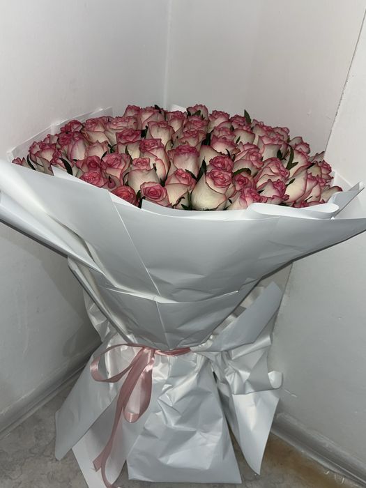 101 роза свежыйй