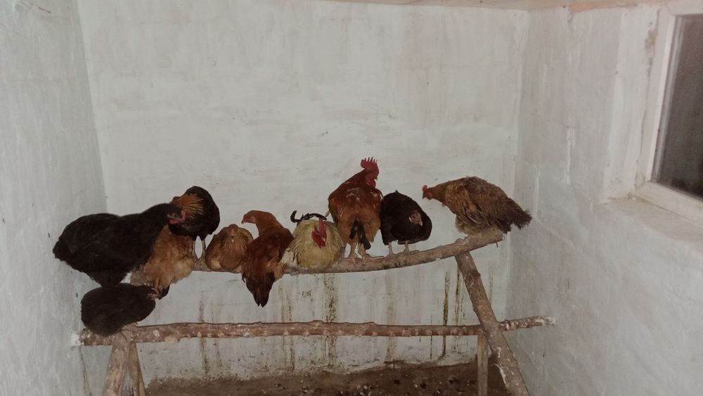 Срочно продам...