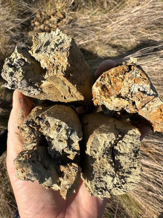 Studii geotehnic in Giurgiu