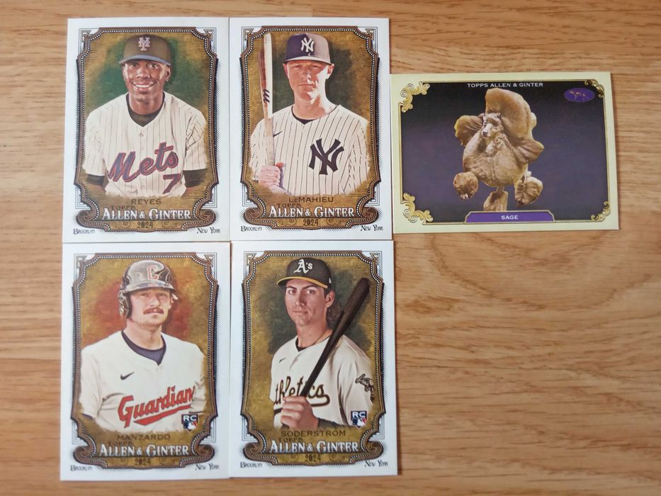 Pachetele/cartonase sporturi americane NBA UFC NFL NHL MLB Panini donruss topps