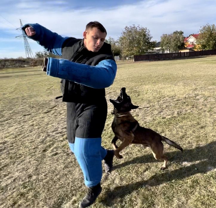 Dresaj canin in Vaslui ~ Câinii lui Ștefan