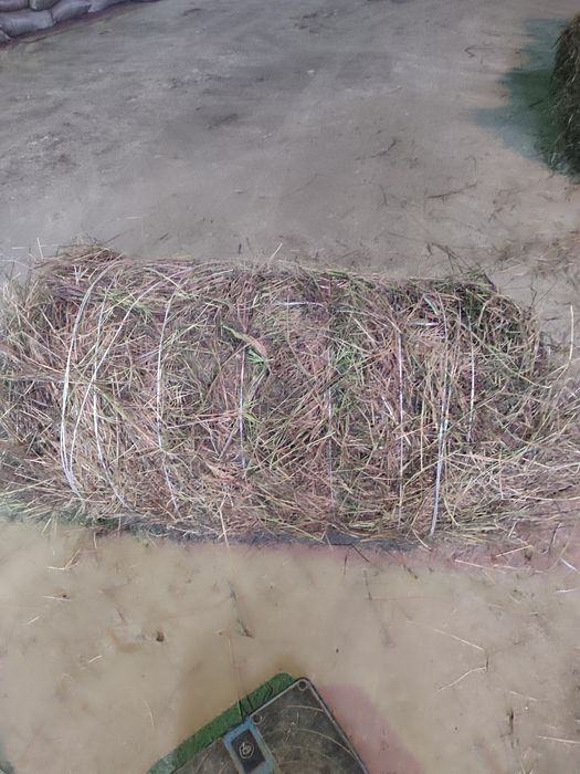 сено в мини рулонах в центре города!