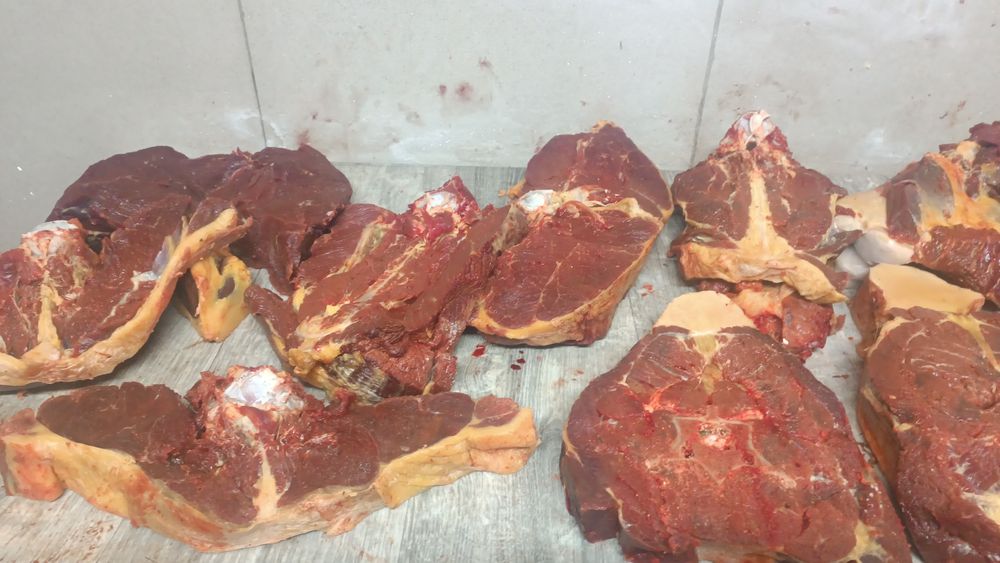 Капчены мяса конины. Сүр ет.