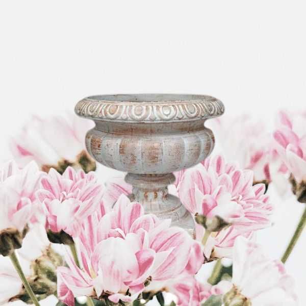 Mulaj matrita Ghivece Flori nu abs silicon pavaj