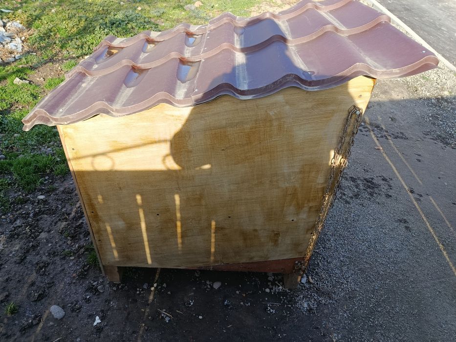 Vând cușcă câine