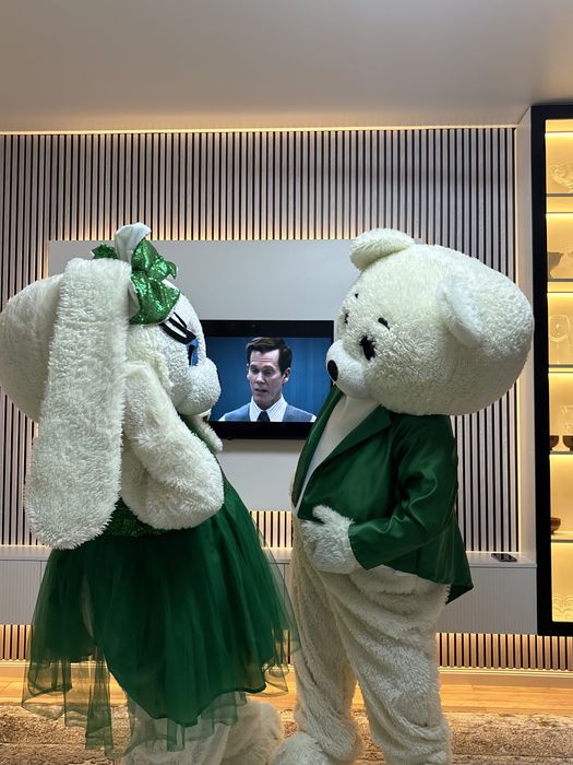 костюм тедди / мишки