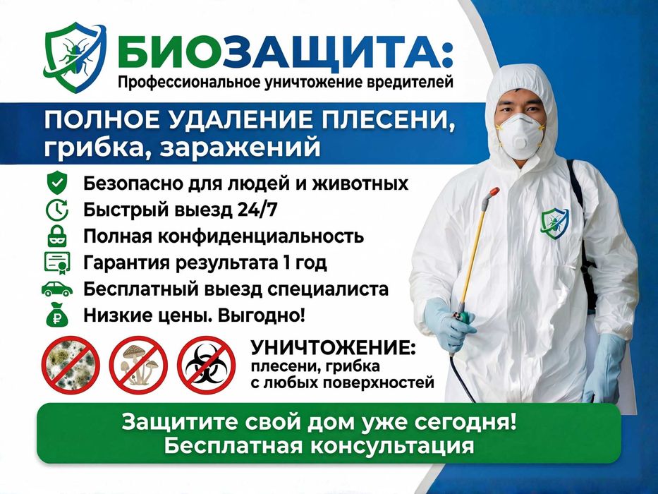 Удаление, выведение плесени и грибка. Озонирование помещений. Гарантия