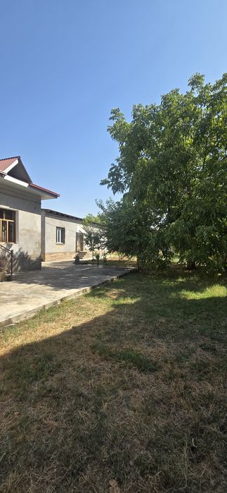 Кибрай 7.81.с.5хона.