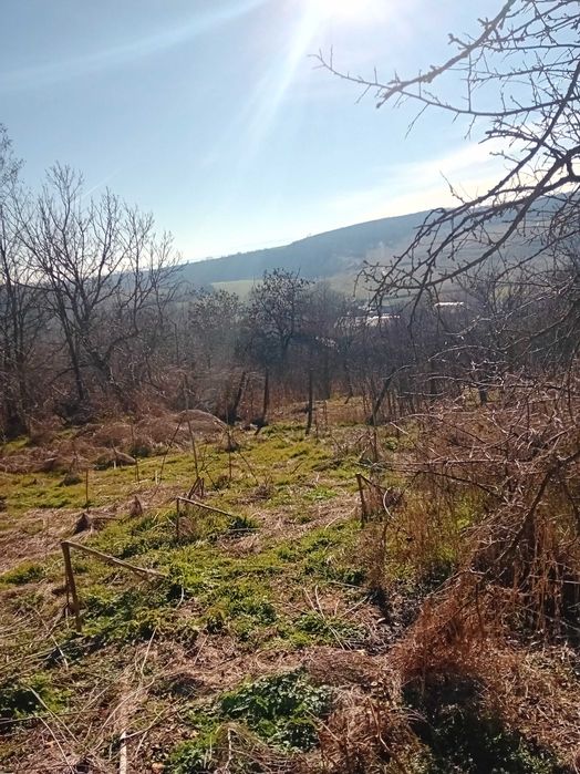 Продава се Къща в с. Съединение, Област Търговище - 80 кв.м за 192 €/кв.м - Снимка #11