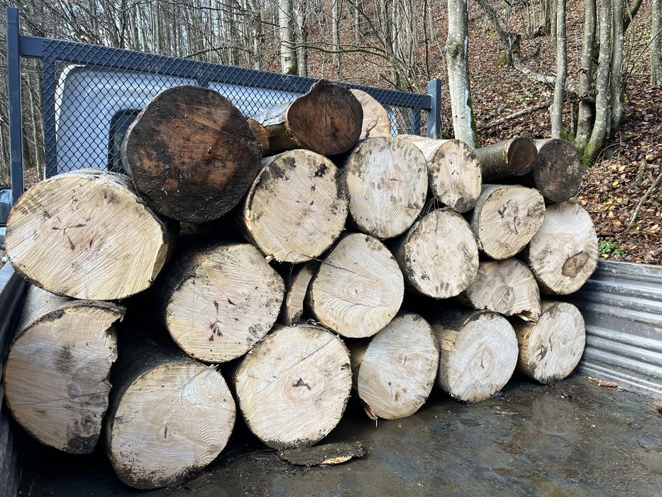 Vând lemne de foc esență tare