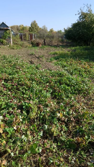 Продам дачу ООСЛ притобольский