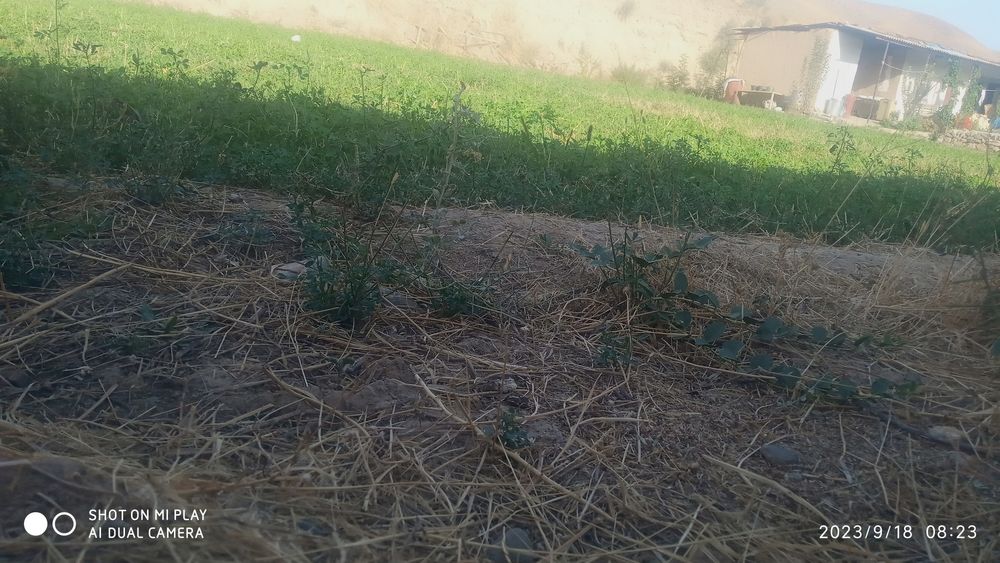 Qurilish uchun moʻljallangan yer