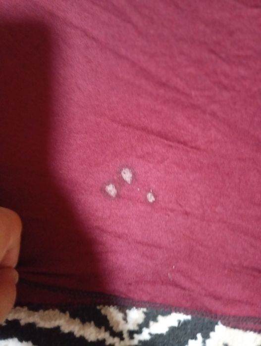 Намазник кейн ранги чиройли