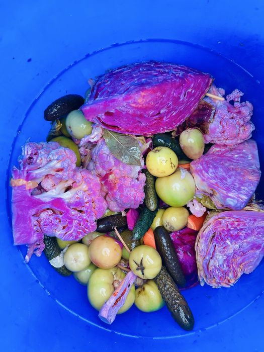 Muraturi Asortate la saramura